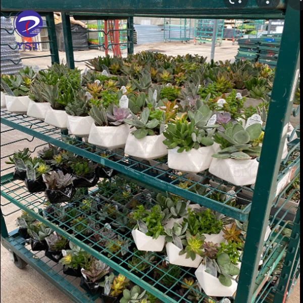 plant rolling container app