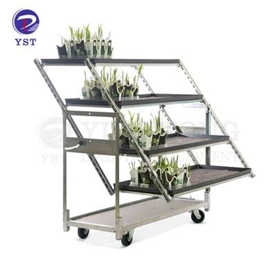 Bērnudārza plauktu ratiņi