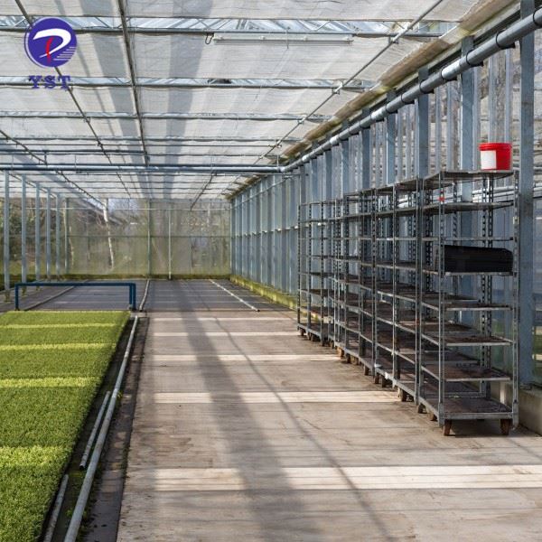 Danish Greenhouse Trolley