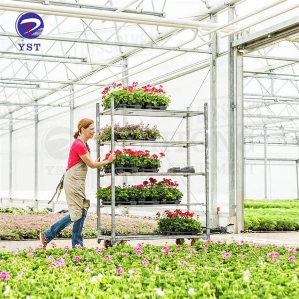 Nursery Flower Racks