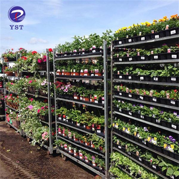 Stādu ziedu transportēšanas rati