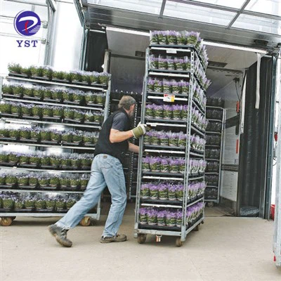 Grozs ziedu transportēšanai