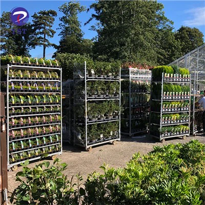 Dānijas ziedu transportēšanas konteineri