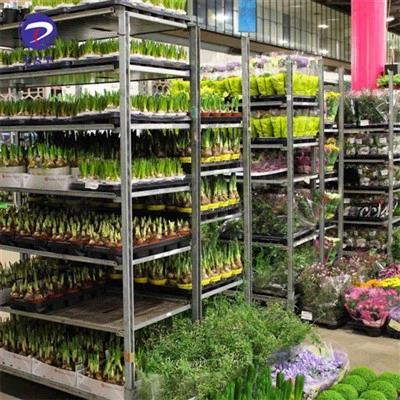 Ziedu kopiju konteiners