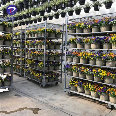 Stiepļu tīkls dāņu ratiņu grozs