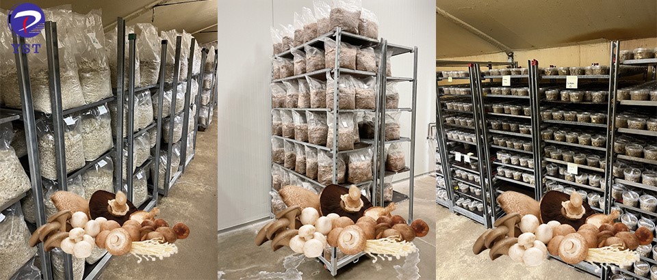 Danish Trolley Danish Trolley