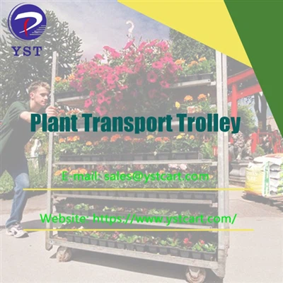 Augu transportēšanas ratiņu ieviešana, lai uzlabotu rentabilitāti un IA stāda...